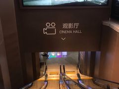 -星河寰宇IMAX影城(星河WORLD·COCO Park店)