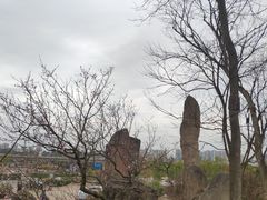 -秀丽东方