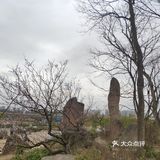 草长莺飞好时光