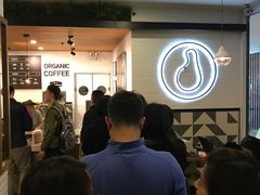 -油梨树 AVOCADO TREE(亮马桥店)