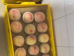 -老袁家蜜桃农场·阳山水蜜桃