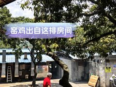 -满記土窑烧鷄波浪山莊