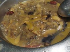 -蘑统田下·野生菌火锅