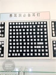 -AI艾耳·专业手工耳洞·穿孔美学馆