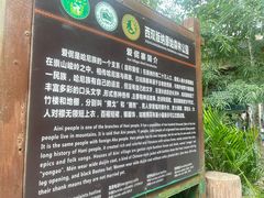 -西双版纳原始森林公园