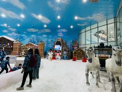 -世界之窗阿尔卑斯冰雪世界