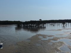 -北海金海湾红树林生态旅游区