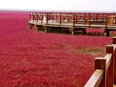 -红海滩国家风景廊道