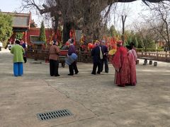 -大槐树寻根祭祖园