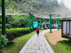 -衢州大荫山丛林飞越探险乐园