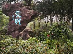 -重庆彩云湖湿地公园