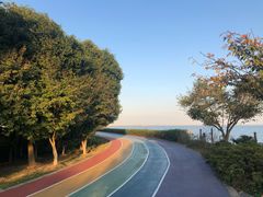 -贡湖湾湿地公园