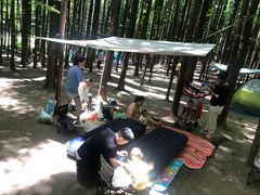 -山王坪喀斯特国家生态公园