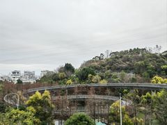 -福道