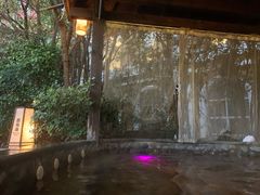 -杭州第一世界大酒店·云曼温泉