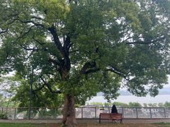 -东钱湖旅游度假区