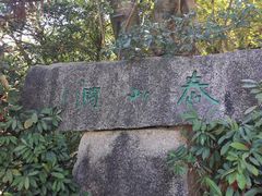 -梧桐山风景名胜区