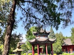 -洛阳白马寺