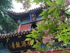 -洛阳白马寺