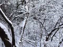 -华山风景名胜区
