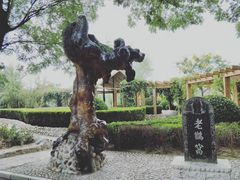-大槐树寻根祭祖园