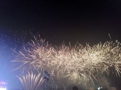 -花博汇(知音花月夜)