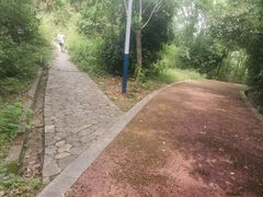 -桃花岭景区