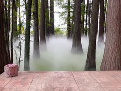 -东湖落雁景区
