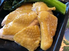 -雨林餐厅(长隆海洋王国店)