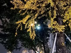 -渝信川菜(南滨店)