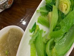 姜蓉水东芥菜-龙悦湾酒家·八阵鱼生·渔人码头店