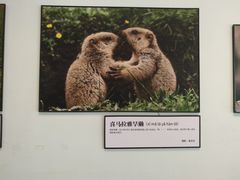 -北京动物园