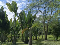 -中国科学院西双版纳热带植物园