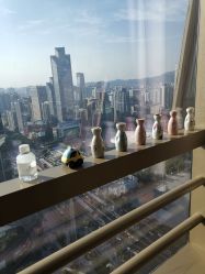 -JNK皮肤管理中心