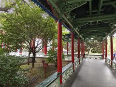 -白塔山公园