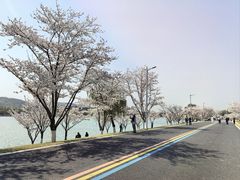 -羊山湖公园