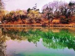 -颐和园