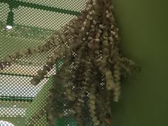 -纳鲁孜·新疆特色餐厅(上海悦荟广场店)