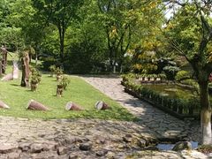 -南山植物园