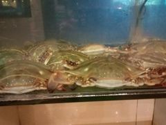 android_upload_pic-合家小菜餐馆(新诚花苑店)