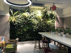 -引领英语·成人口语·雅思托福