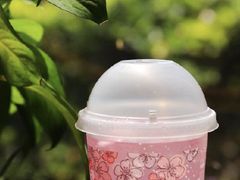 -肯德基(安定门店)