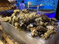 生蚝-乔哥铭洋海鲜自助(皇城恒隆广场店)