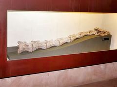 -世界恐龙谷景区