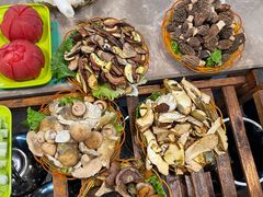 -易门野生菌府·菌海森林(月牙潭公园店)