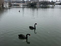 -南通濠河风景名胜区