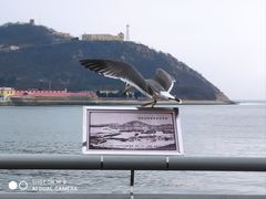 -旅顺留声机博物馆