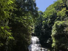 -碧峰峡风景区