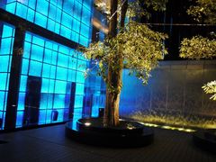 22底楼大堂BAR水幕墙和漂亮荧光灯-广州天河希尔顿酒店