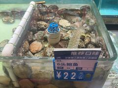 -强记海鲜·大排档(蛇口新街店)